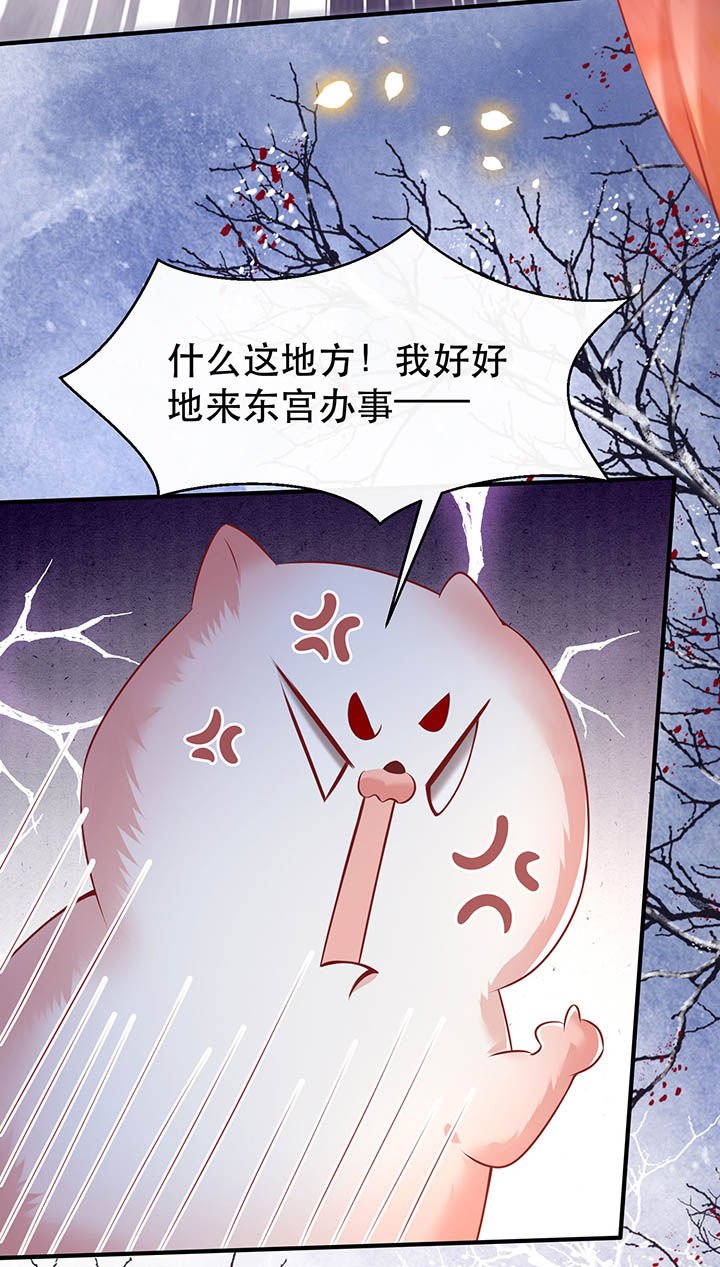 第129章：竟然还活着！