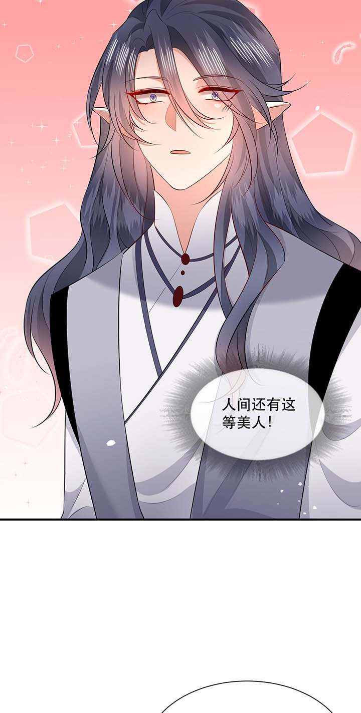 第156章：夜会摄政王府