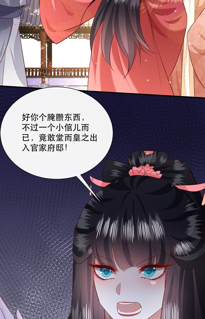 第156章：夜会摄政王府