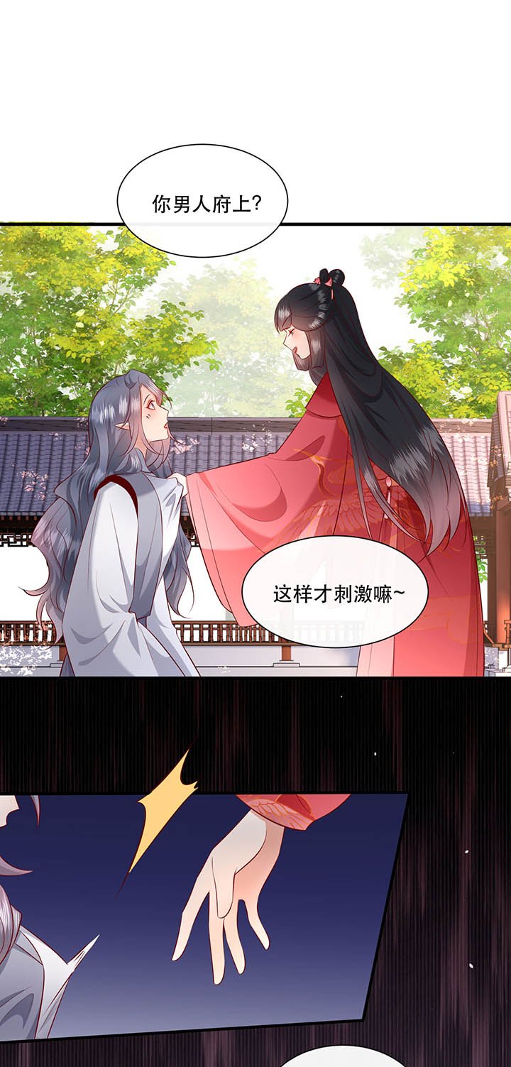 第156章：夜会摄政王府