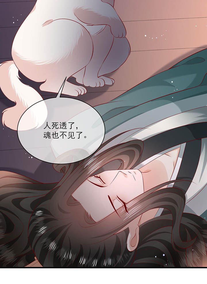 第167章：大型精分现场