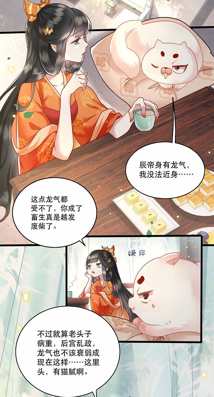 第17章：你叫本宫什么？