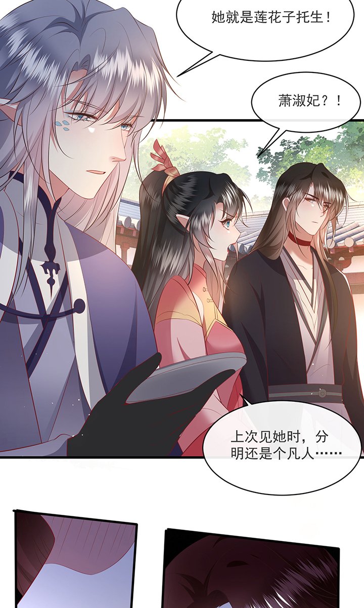 第172章：莲花托生竟是她！
