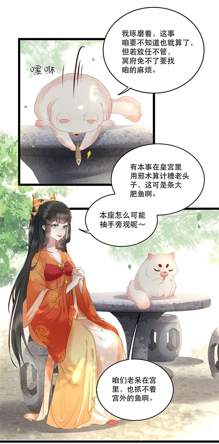 第18章：去请教你的狗头军师