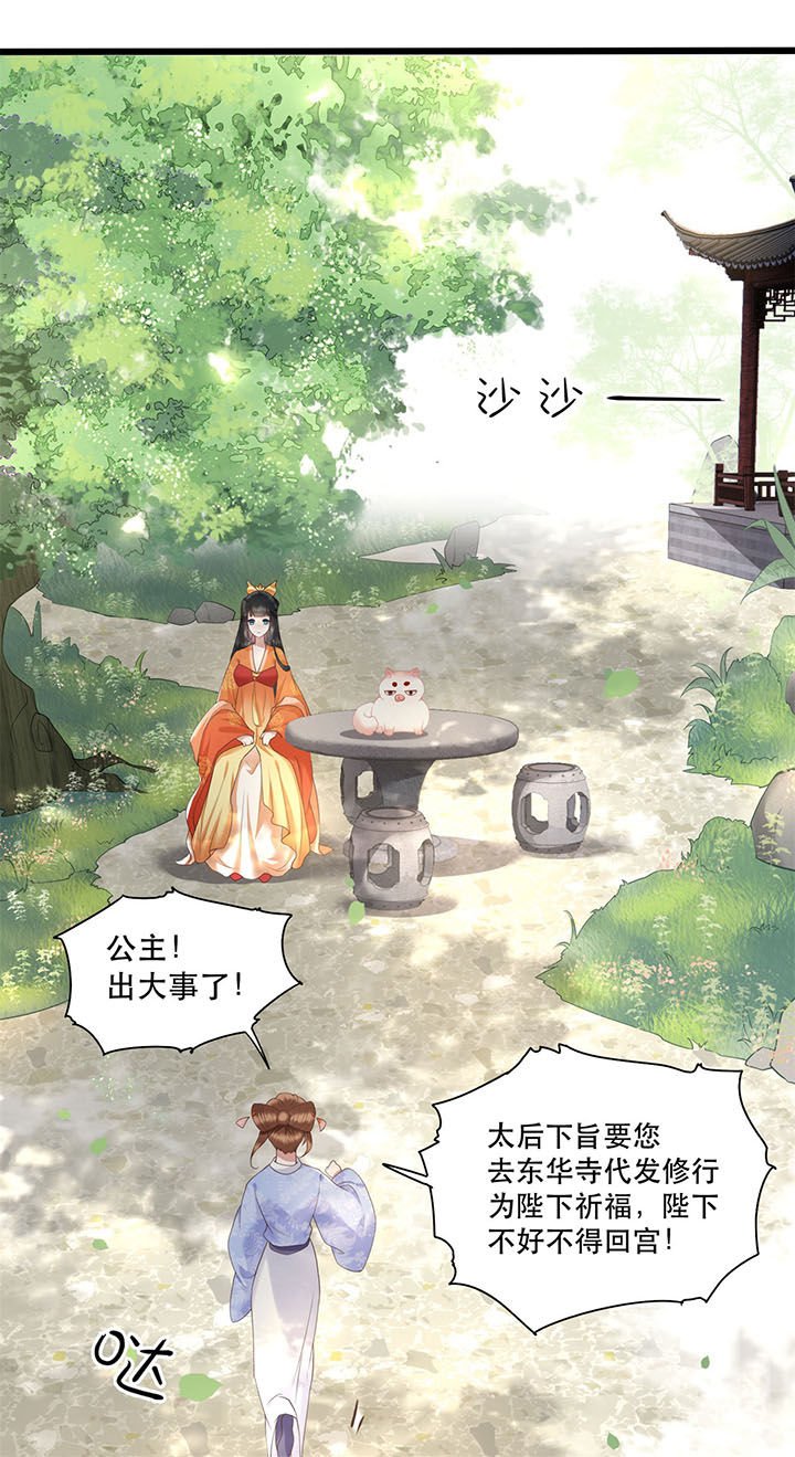 第18章：去请教你的狗头军师