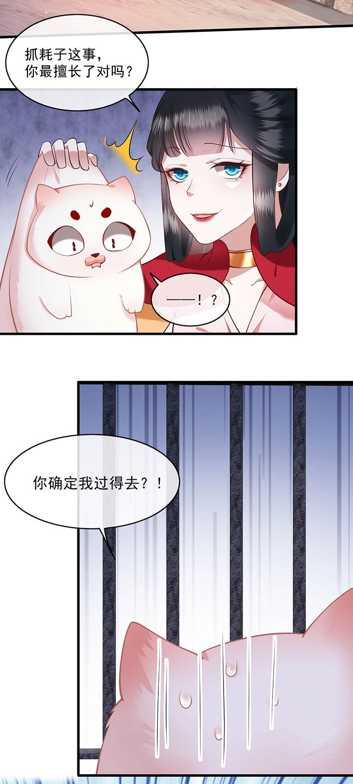 第32章：让本宫瞧瞧，召唤个什么东西