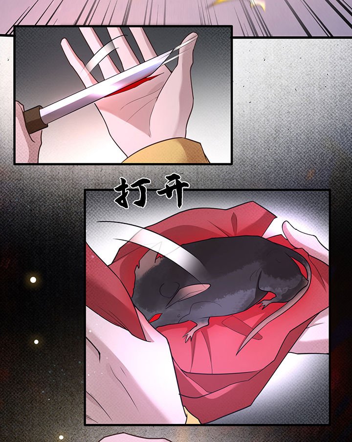 第33章：赶紧把那只猫精收拾了！_