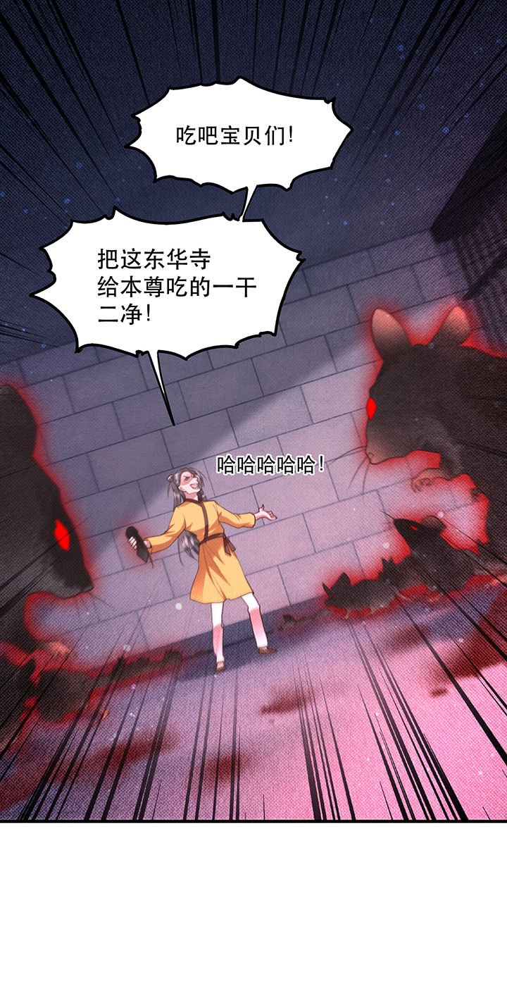 第33章：赶紧把那只猫精收拾了！_