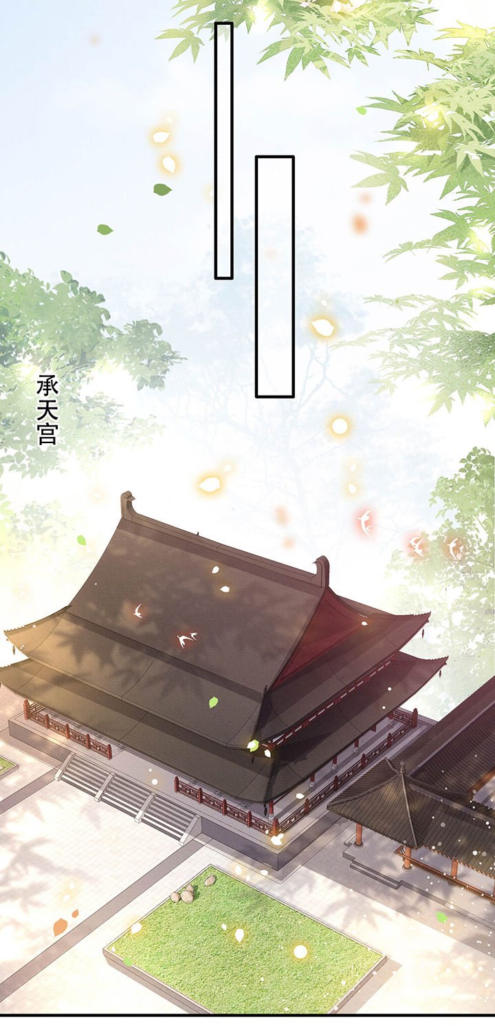 第48章：这桩婚事，你如何考虑？