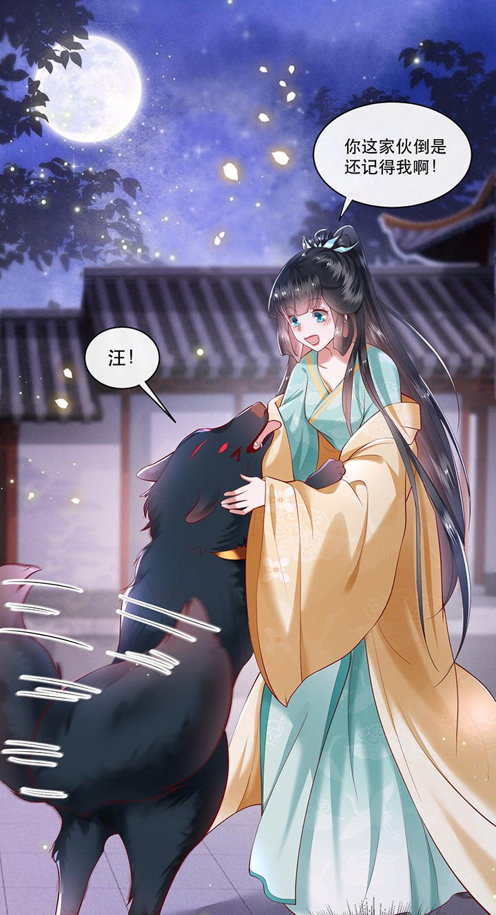 第50章：喝了迷魂药，过了奈何桥