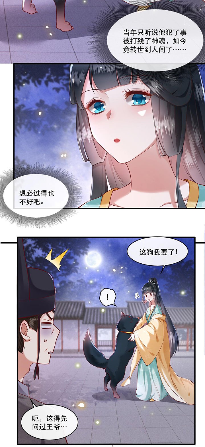 第50章：喝了迷魂药，过了奈何桥