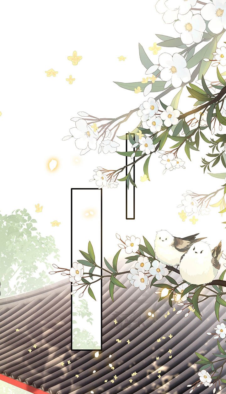 第51章：这才一晚，就喜当娘了？