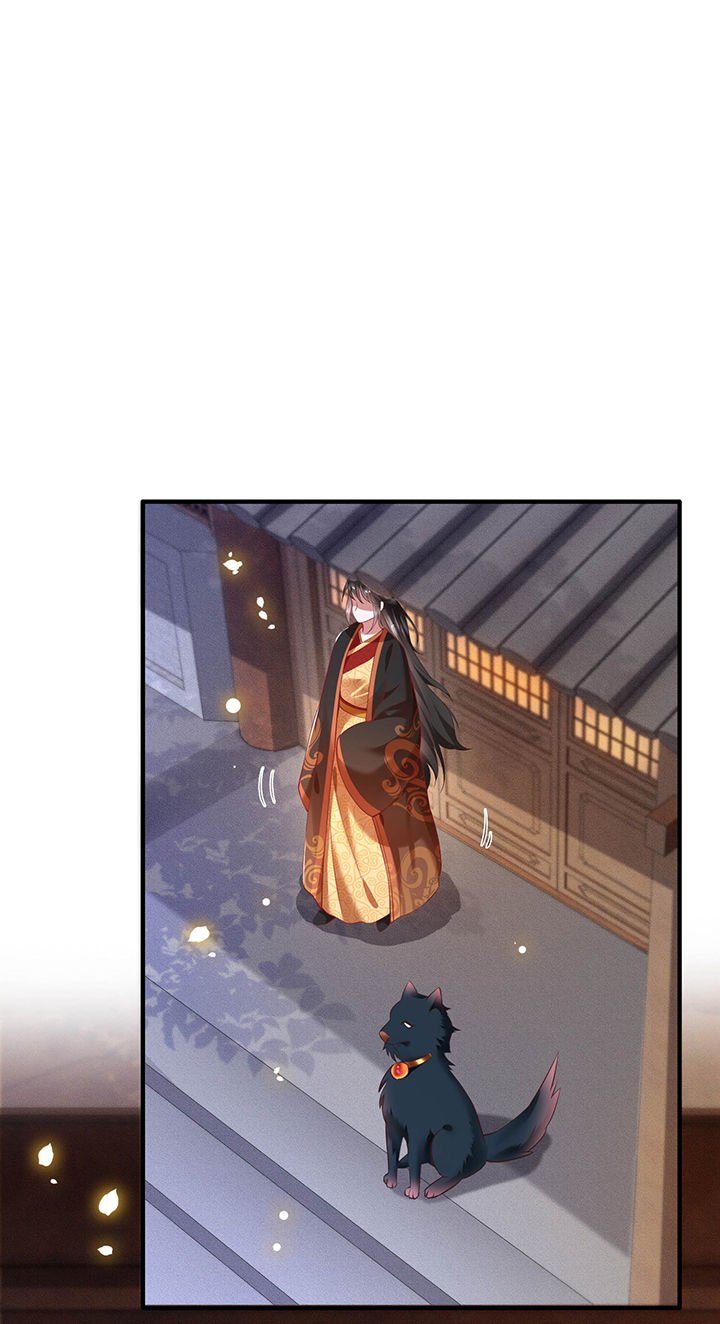 第53章：放你出去，一日放纵