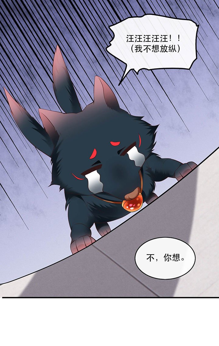 第53章：放你出去，一日放纵