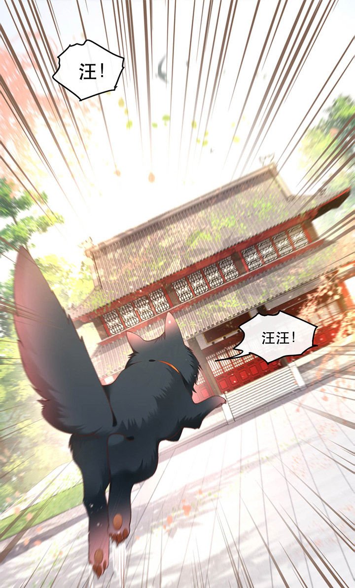 第54章：学会给主人捡东西了！