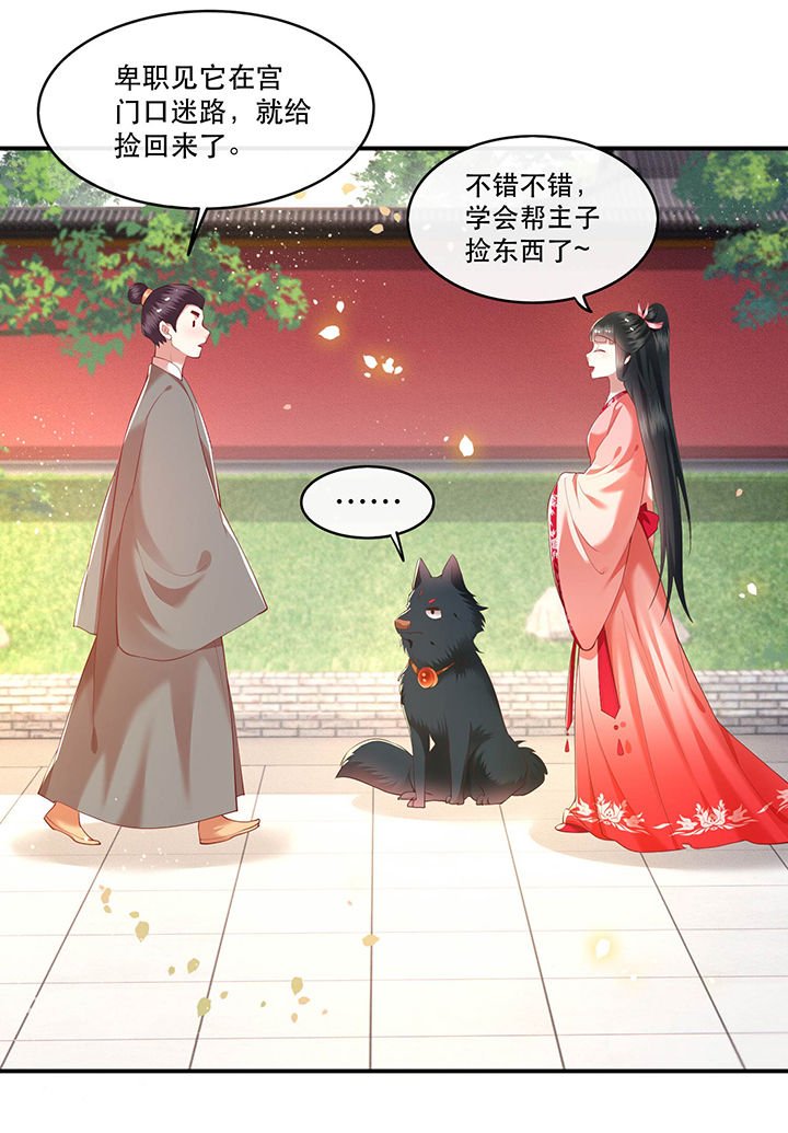 第54章：学会给主人捡东西了！