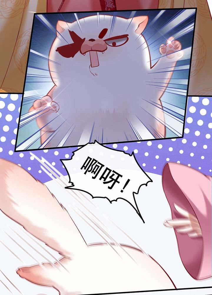 第54章：学会给主人捡东西了！