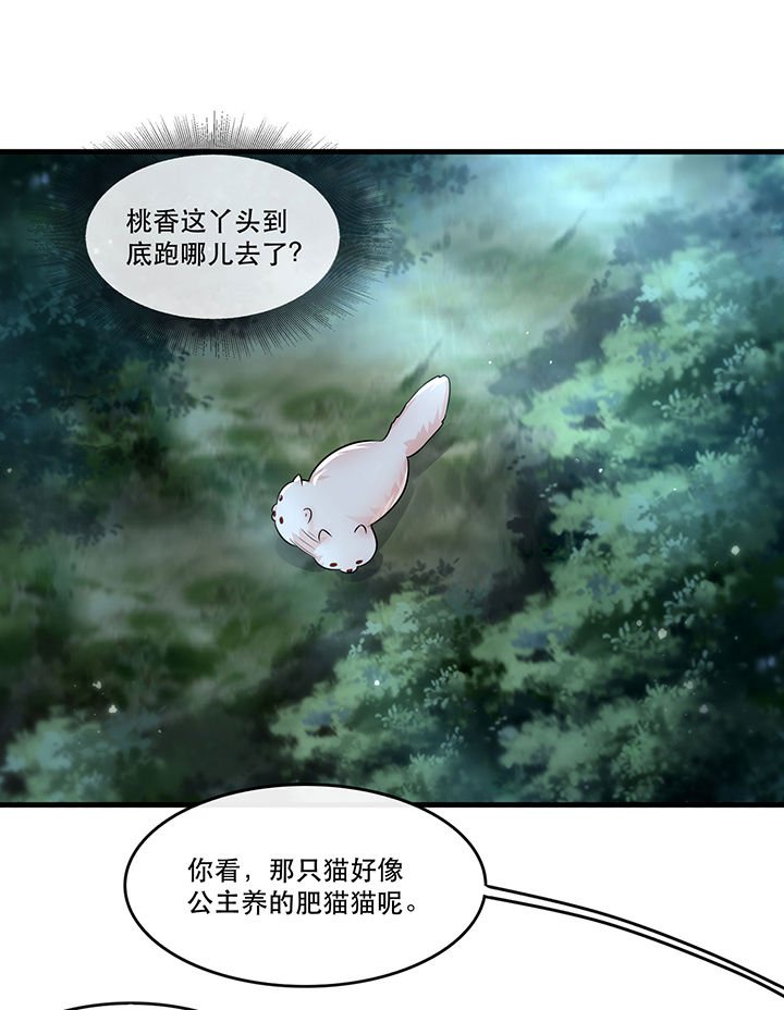 第55章：淡雪与桃香的宿命