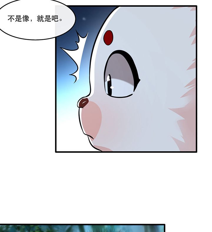 第55章：淡雪与桃香的宿命