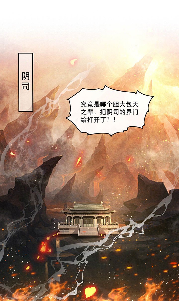 第59章：是时候，该收网了