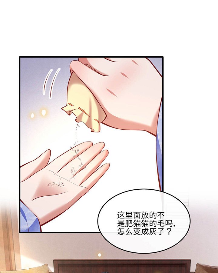 第59章：是时候，该收网了