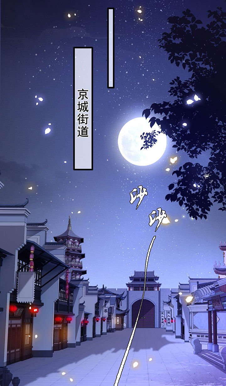 第59章：是时候，该收网了