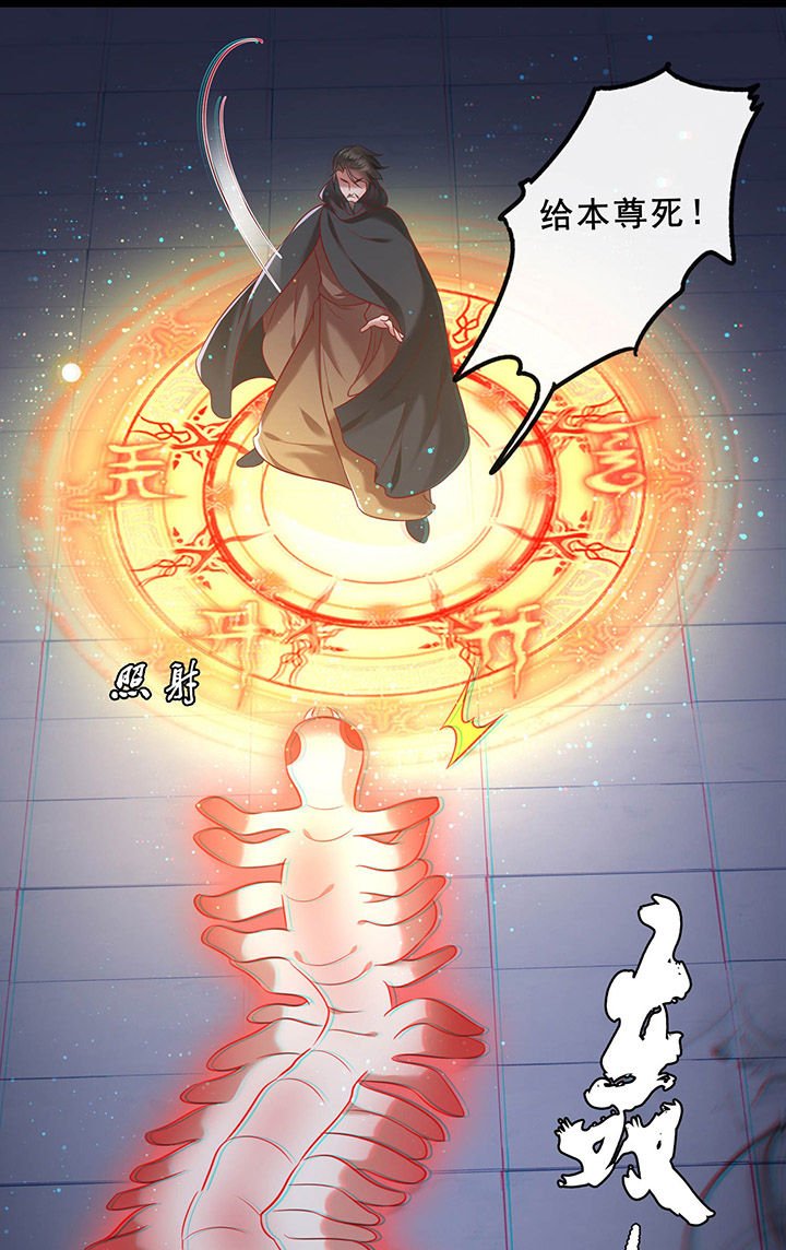 第59章：是时候，该收网了