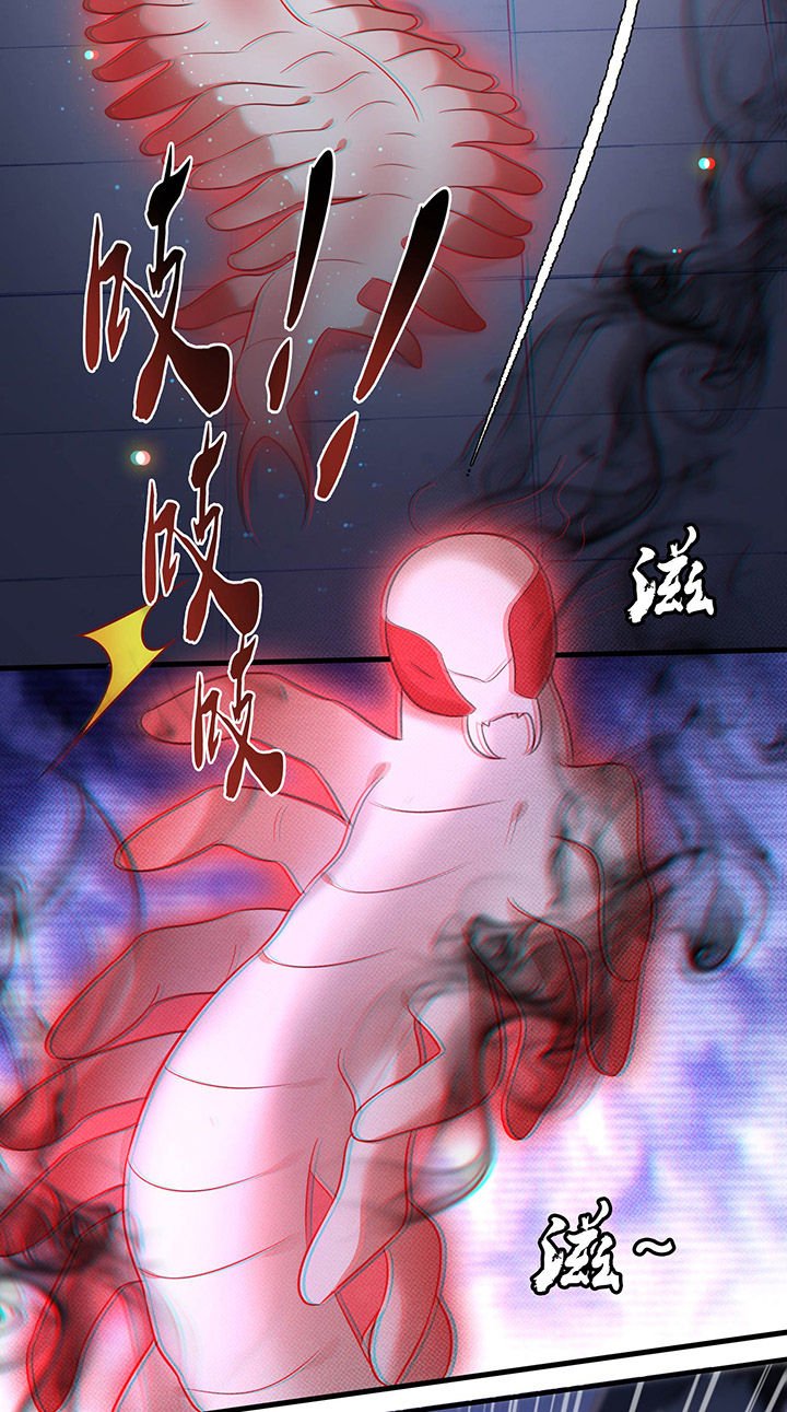 第59章：是时候，该收网了