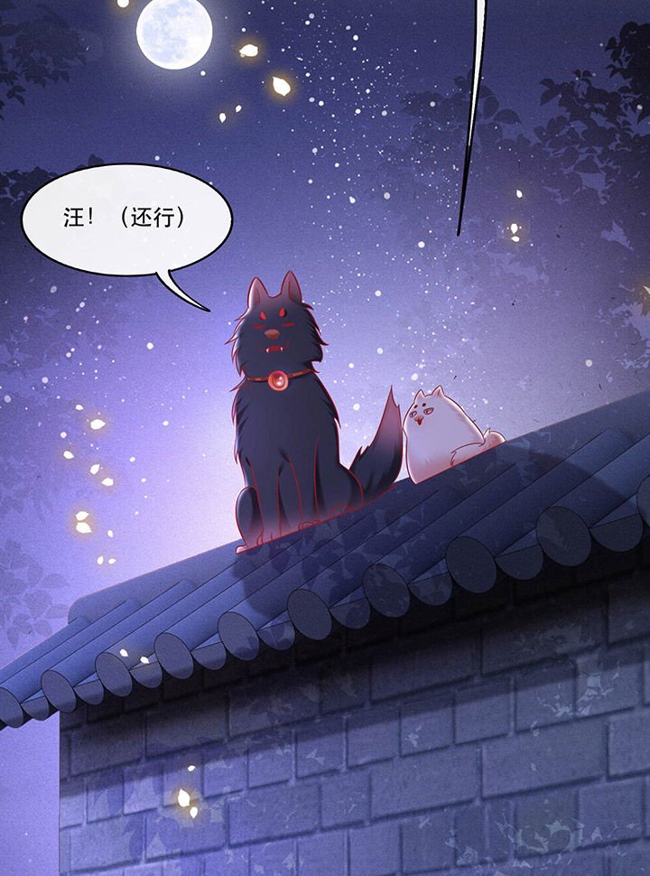 第59章：是时候，该收网了