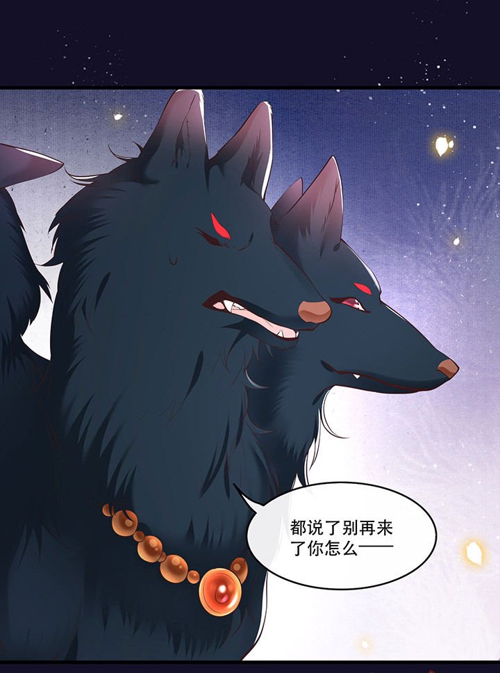 第60章：年复一年的功德珠