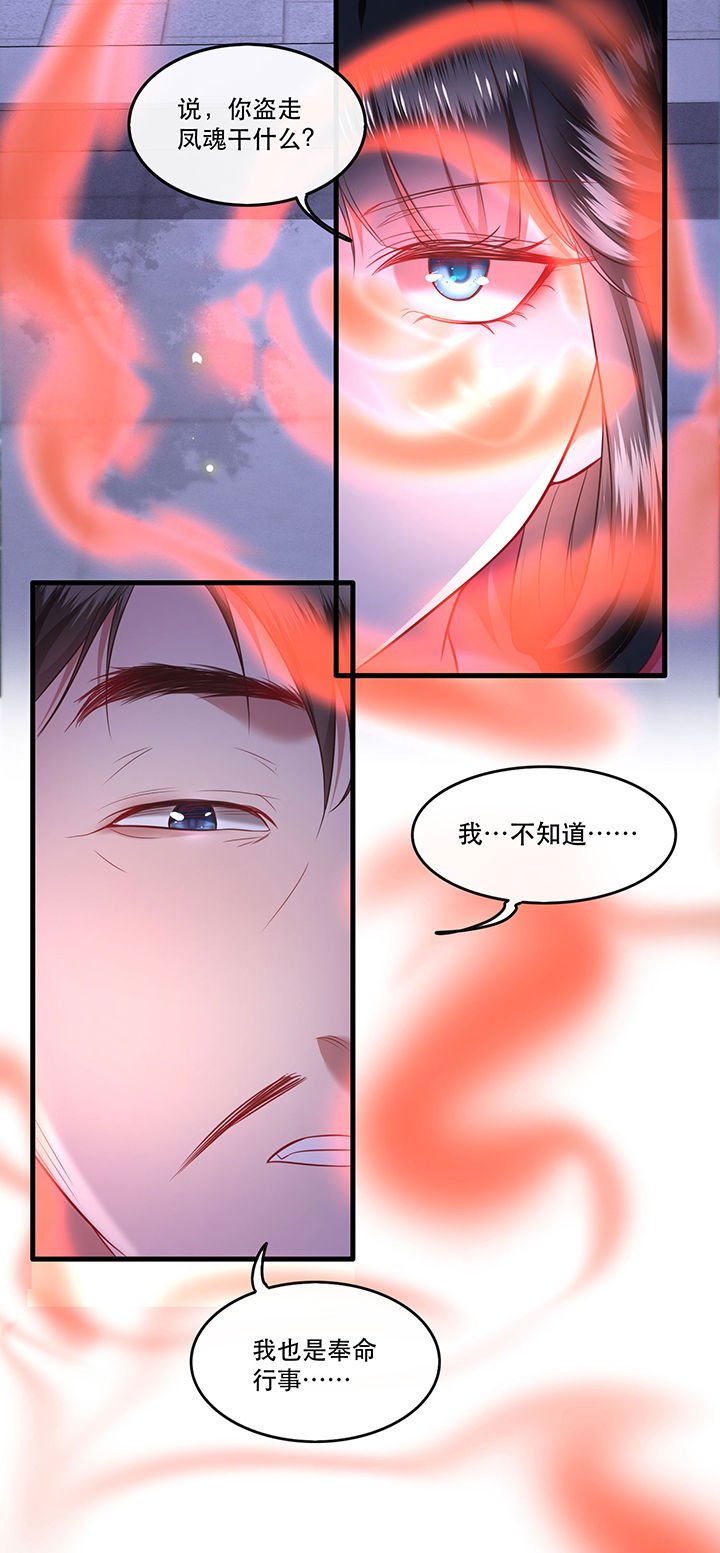 第66章：我也没下死手啊