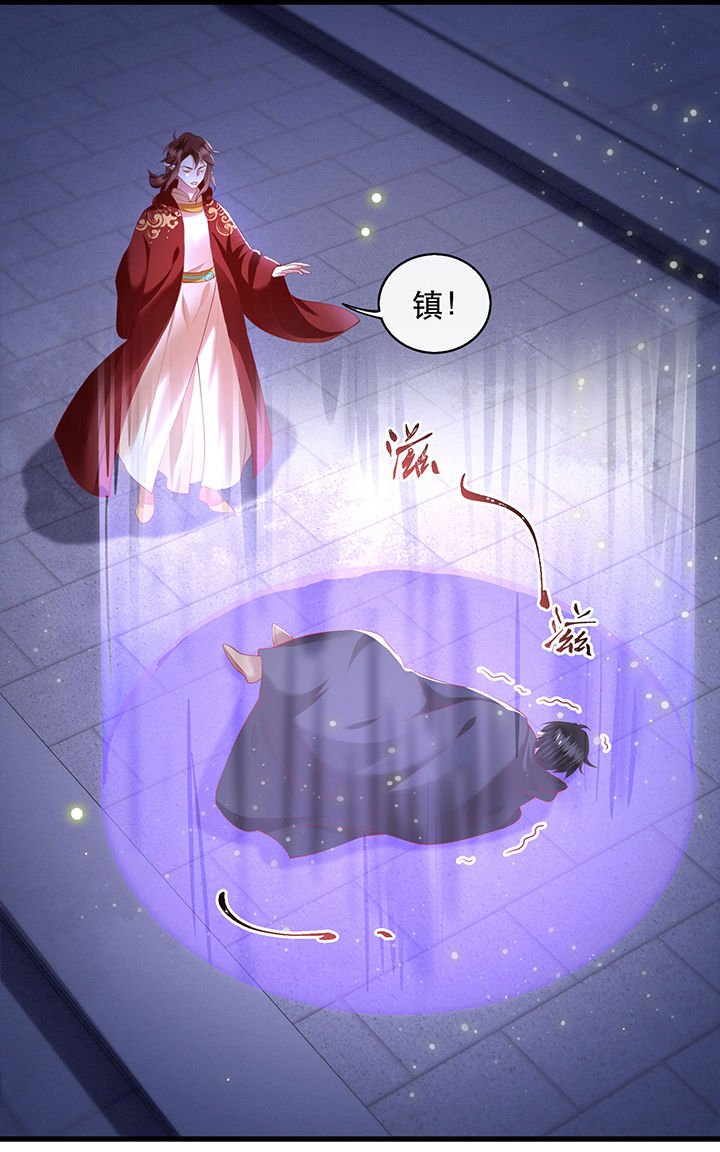 第66章：我也没下死手啊