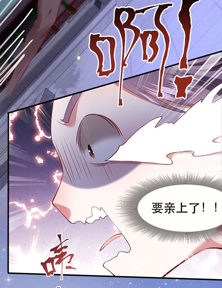 第66章：我也没下死手啊
