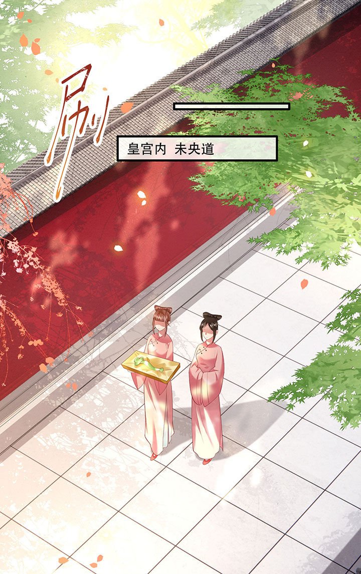 第67章：本座的打工费就是它了！