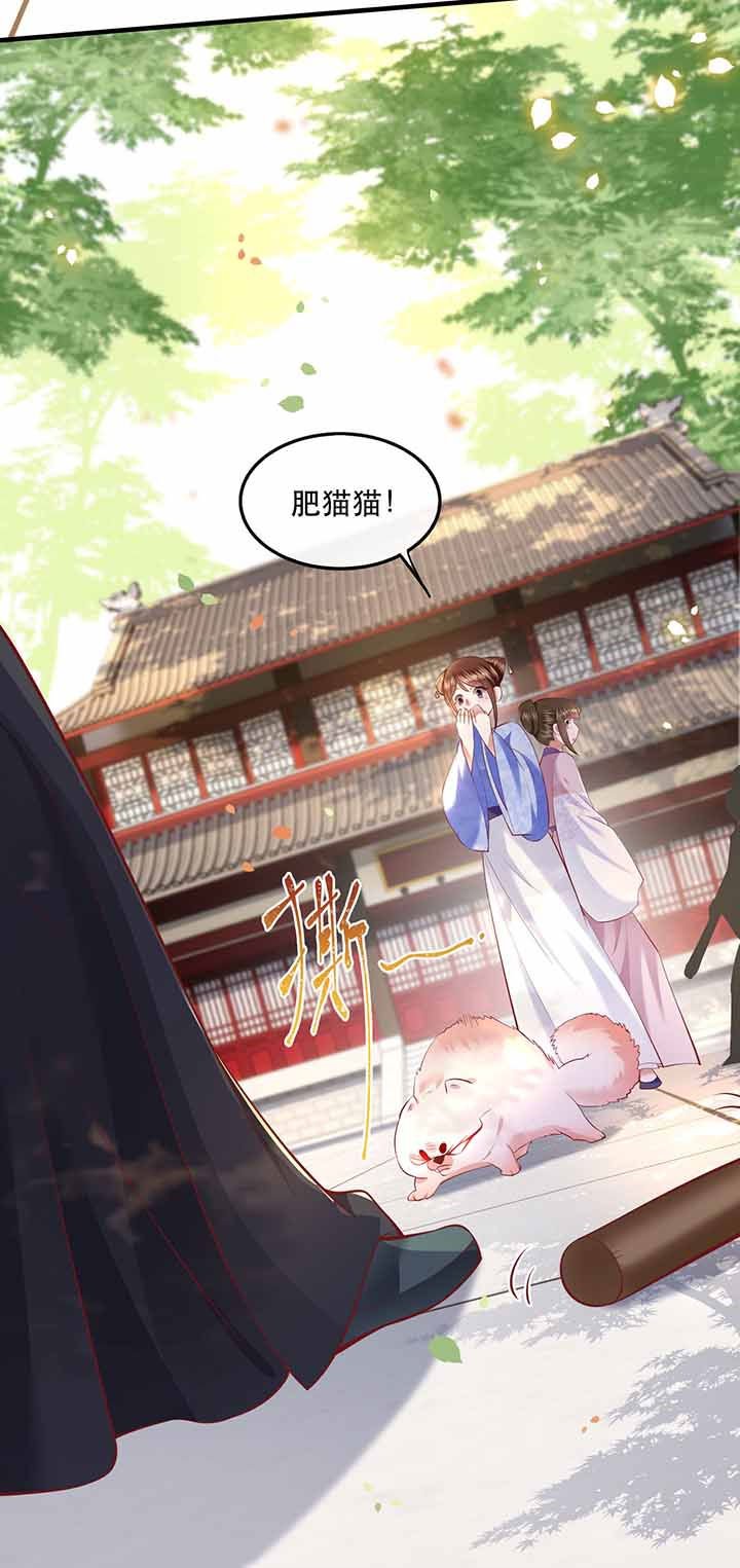 第68章：你想死吗？
