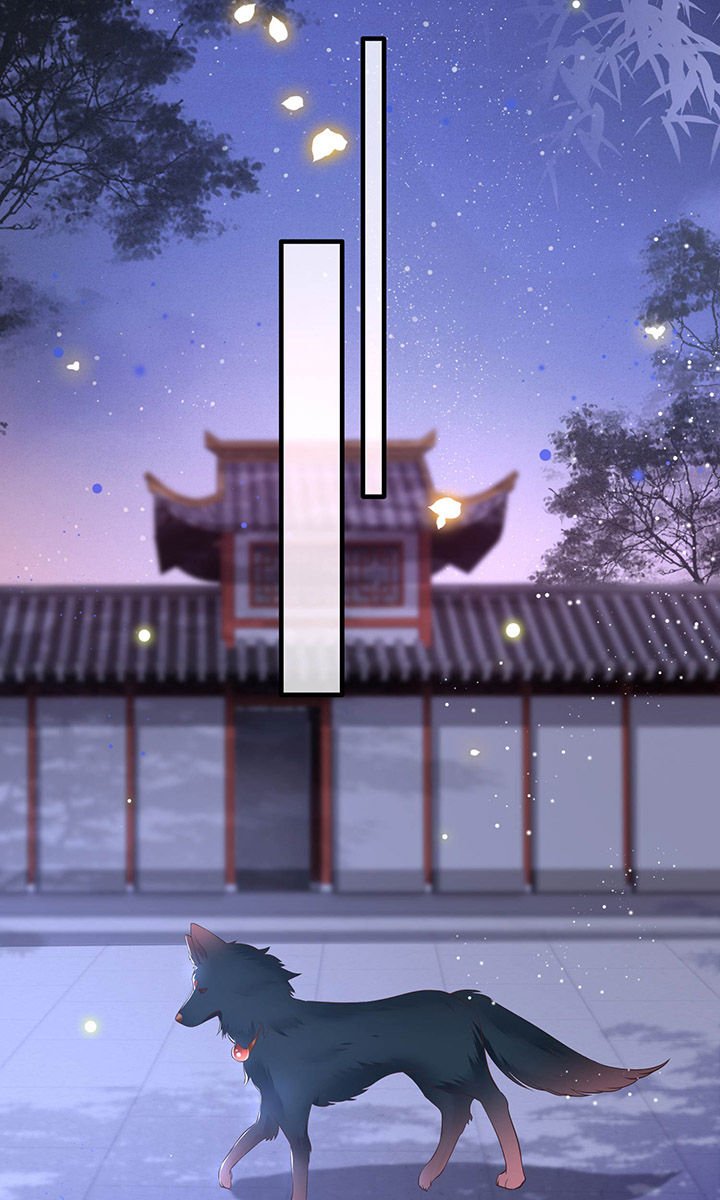 第69章：老娘非北阴不嫁