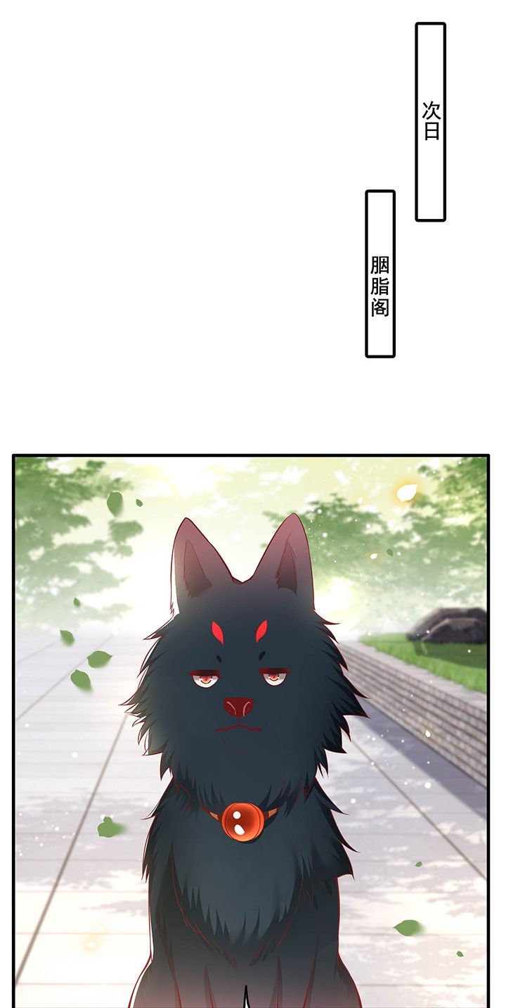 第69章：老娘非北阴不嫁