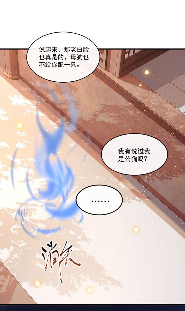 第70章：喜欢还要什么理由！