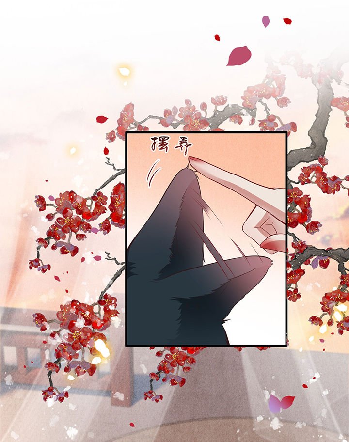 第71章： 本宫答应嫁给你了吗？！