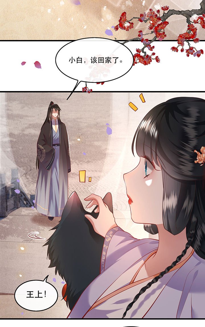 第71章： 本宫答应嫁给你了吗？！