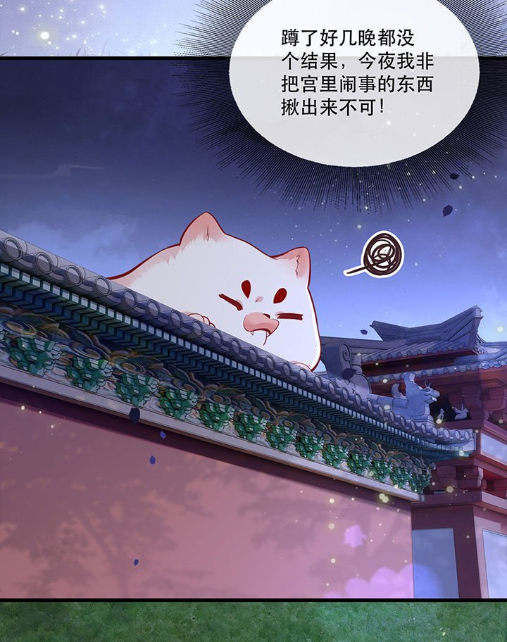 第71章： 本宫答应嫁给你了吗？！