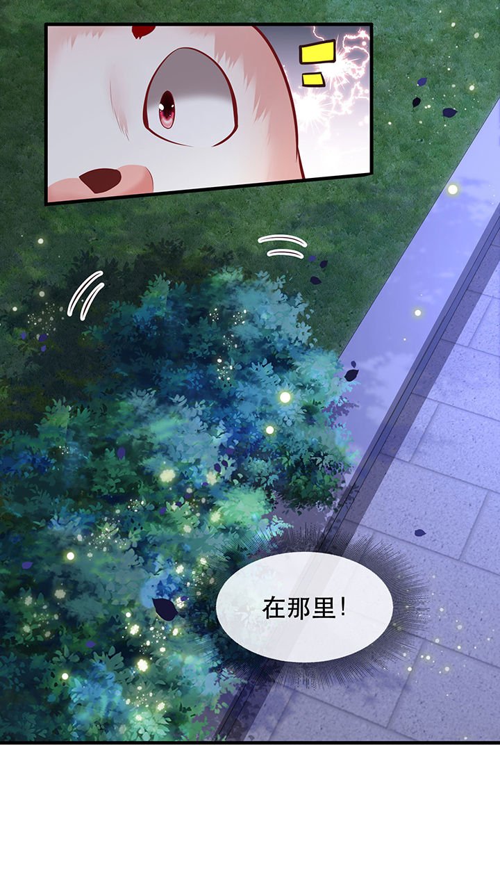 第71章： 本宫答应嫁给你了吗？！