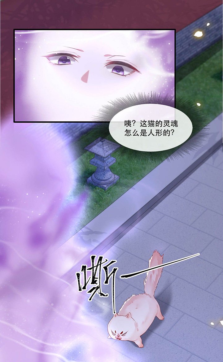 第72章：你在威胁本座？