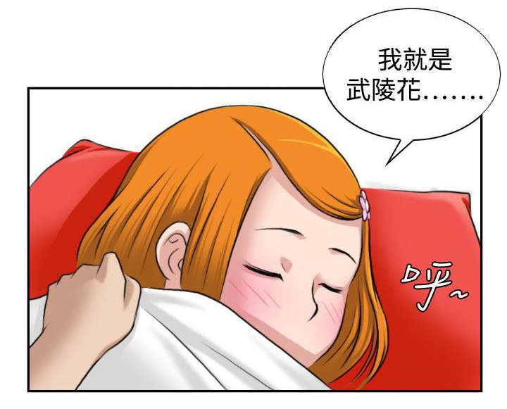 第14章：武陵花