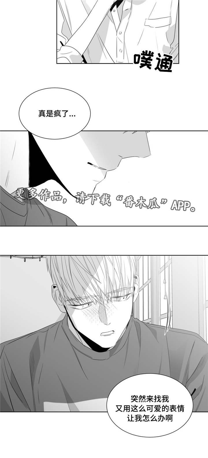 第44章：我想要一个解释