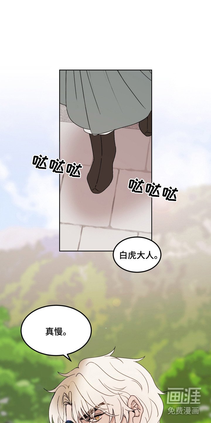 第11章：护监