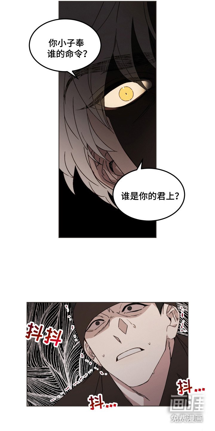 第11章：护监