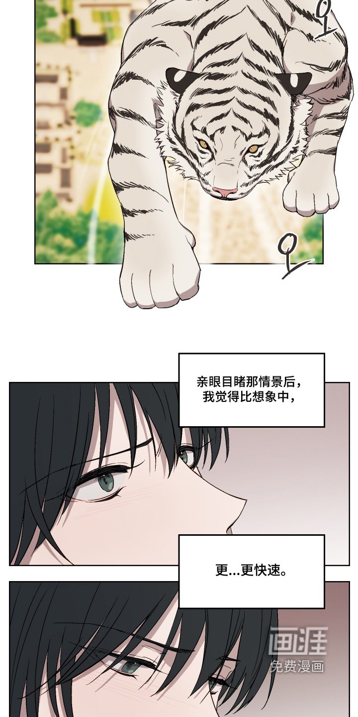 第20章：看书