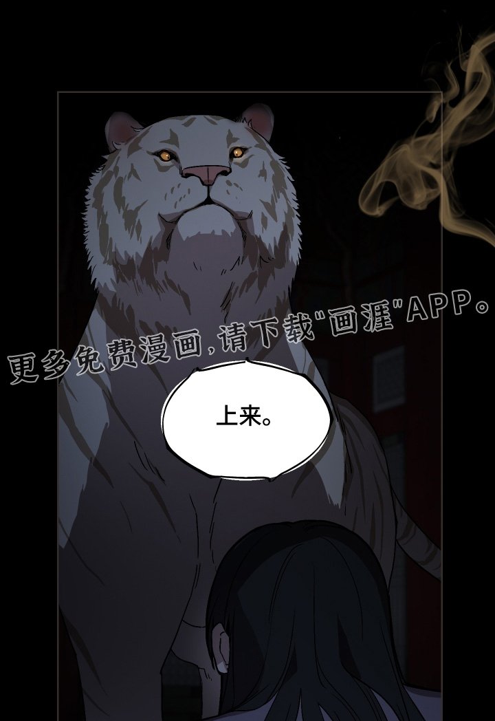 第25章：夜空