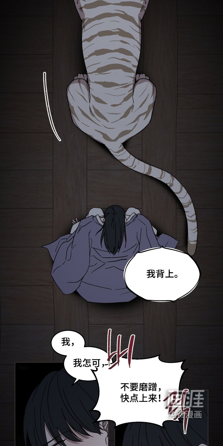 第25章：夜空